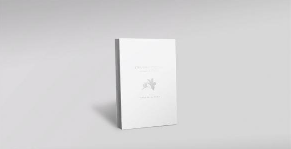 尼尔：机械纪元